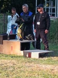 3..jpg